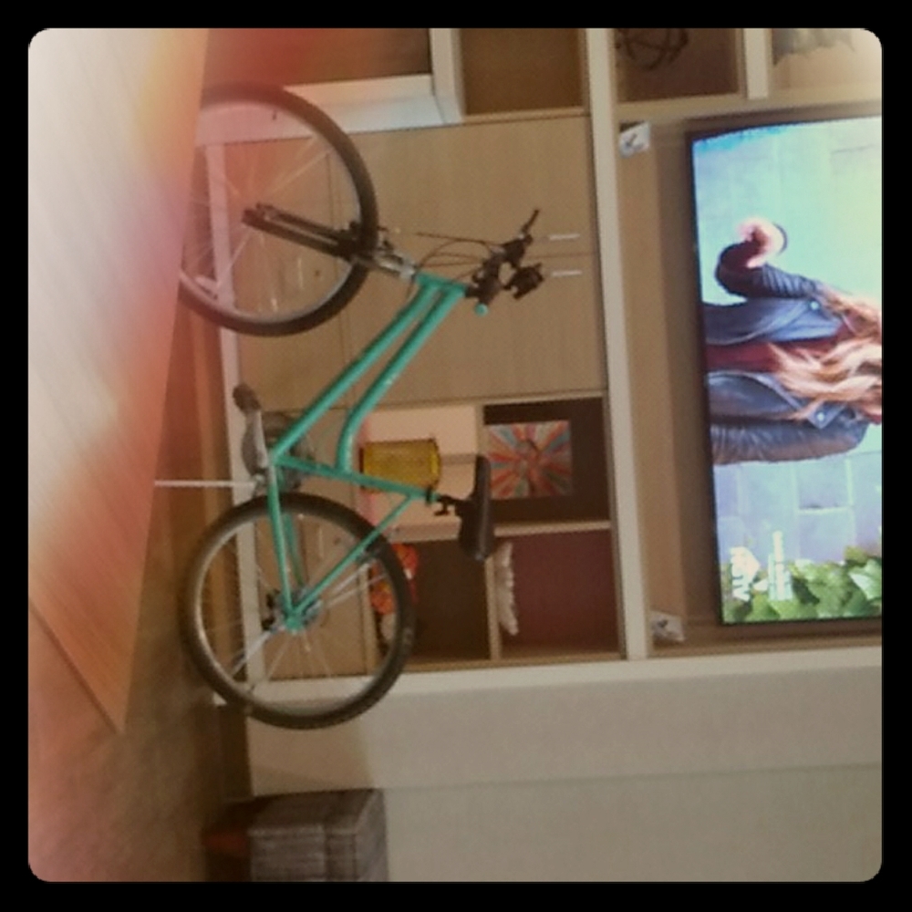 Mountain bike